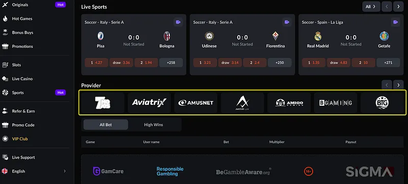Frontend — Providers Section